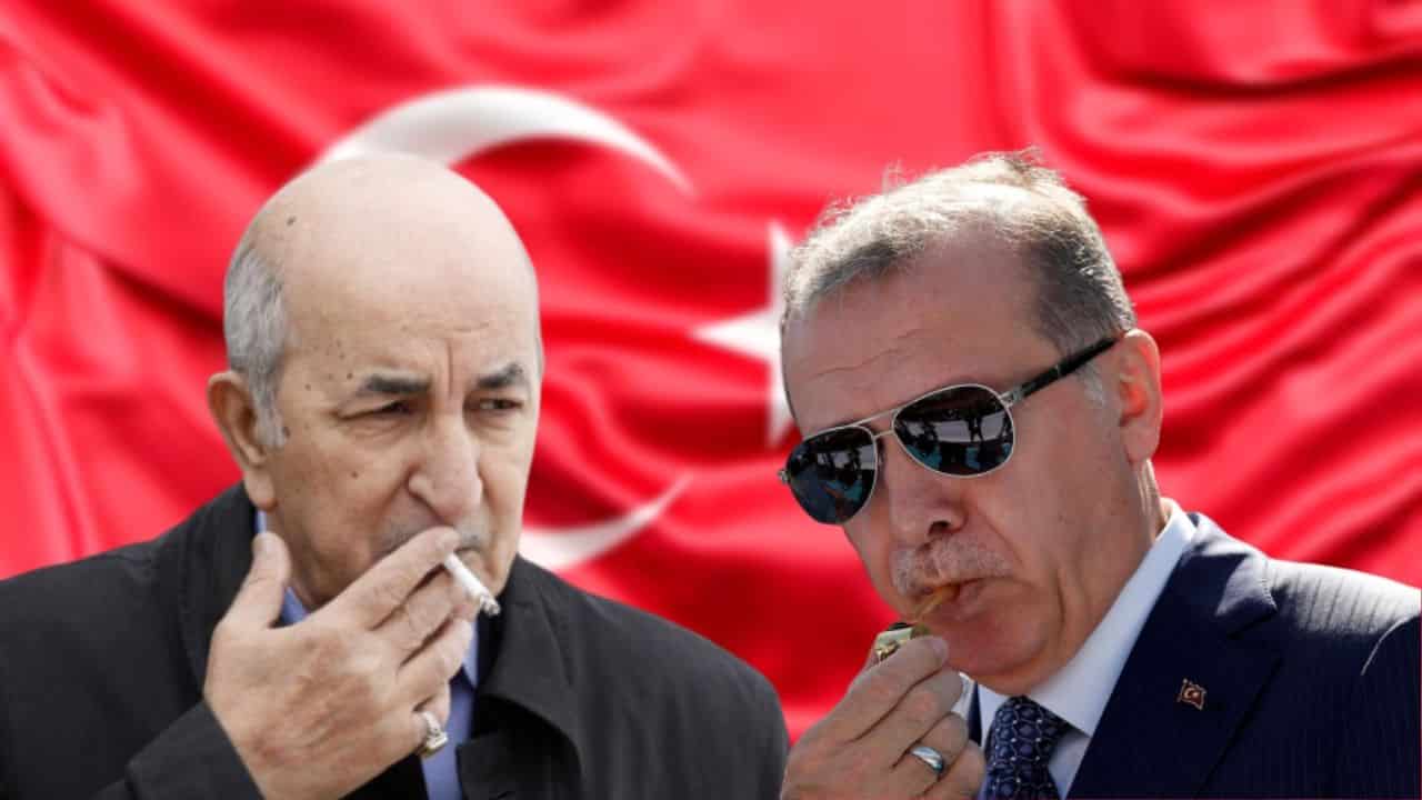 سينوب عنه نائبه غدا في منتدى الأعمال والاستثمار…أردوغان يستقبل تبون  ￼