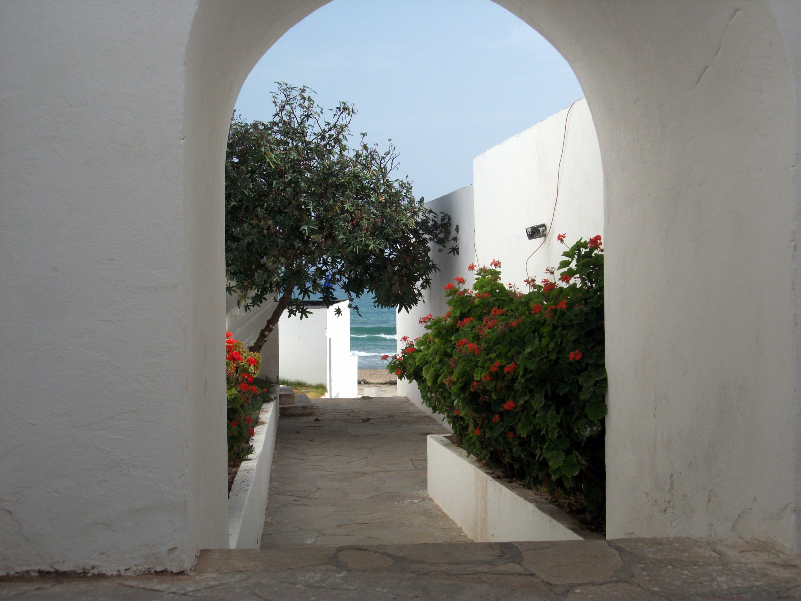 Une saison estivale en Algérie (blog)