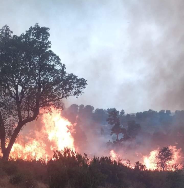 حرائق سوق أهراس: مصالح الحماية المدنية تطلب من كل موظفيها قطع عطلهم والالتحاق بالعمل