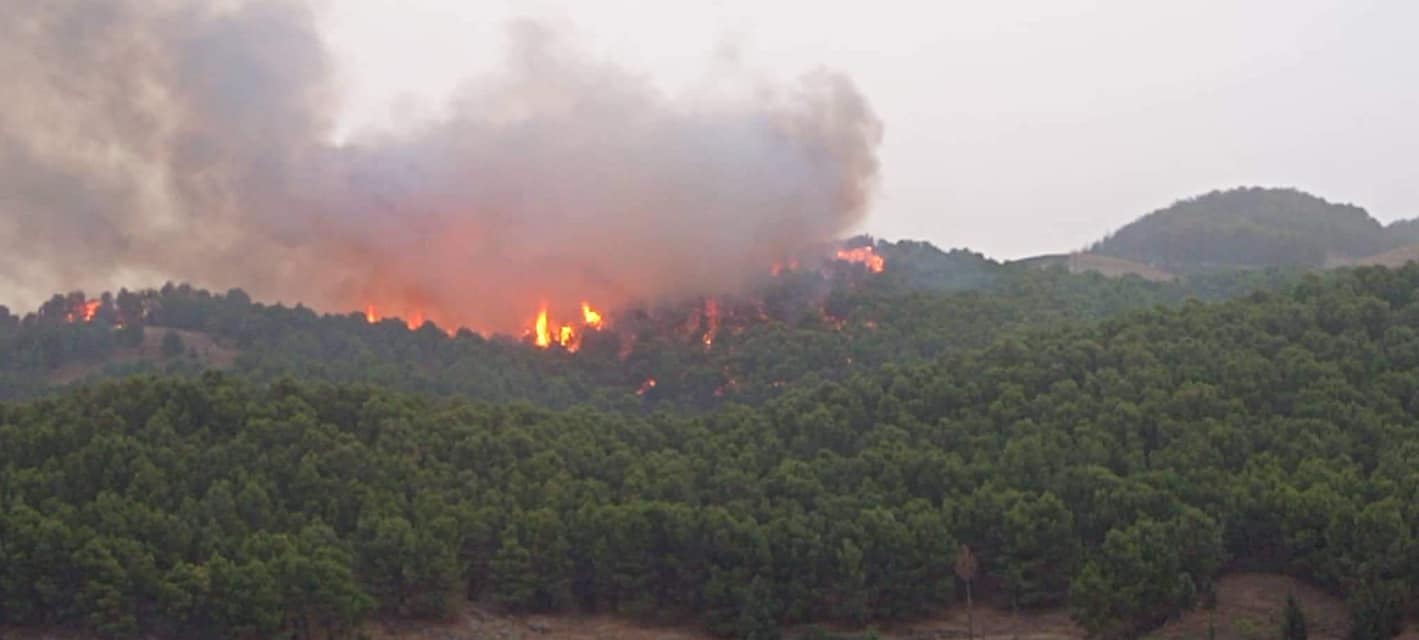 ارتفاع عدد ضحايا حرائق شرق البلاد إلى 37 ضحية من بينهم 11 طفلا