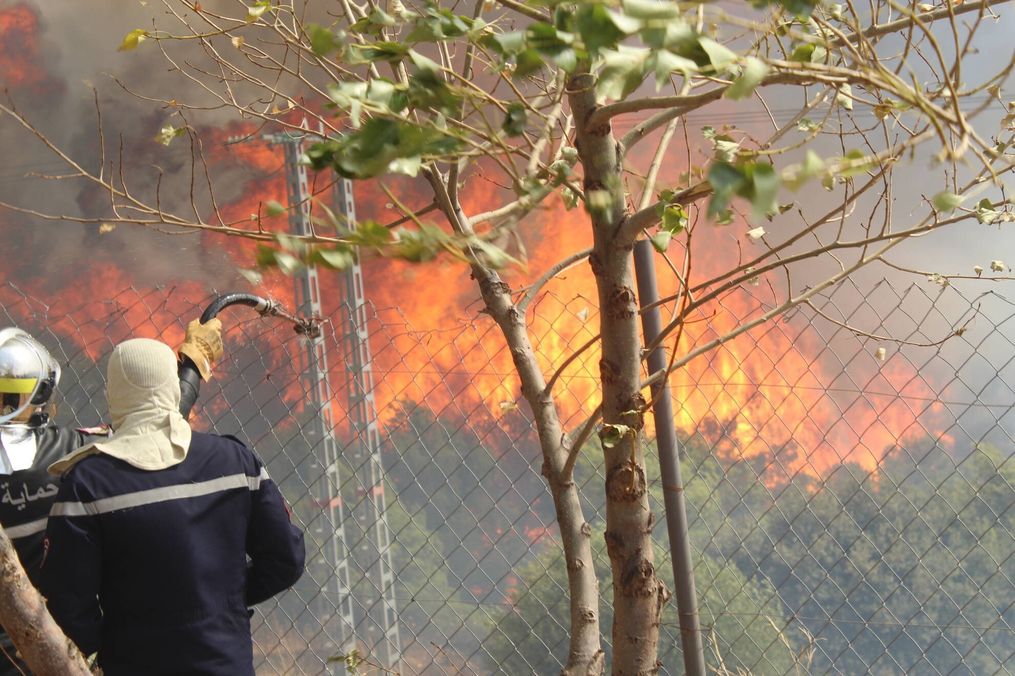 مُستجدات حرائق سوق أهراس: إخماد 14 حريق وإجلاء 400 عائلة