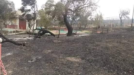 الطارف: نيران حديقة البرابطية إنطلقت من كدية العسل وتوقيف مشتبه فيه بإشعالها