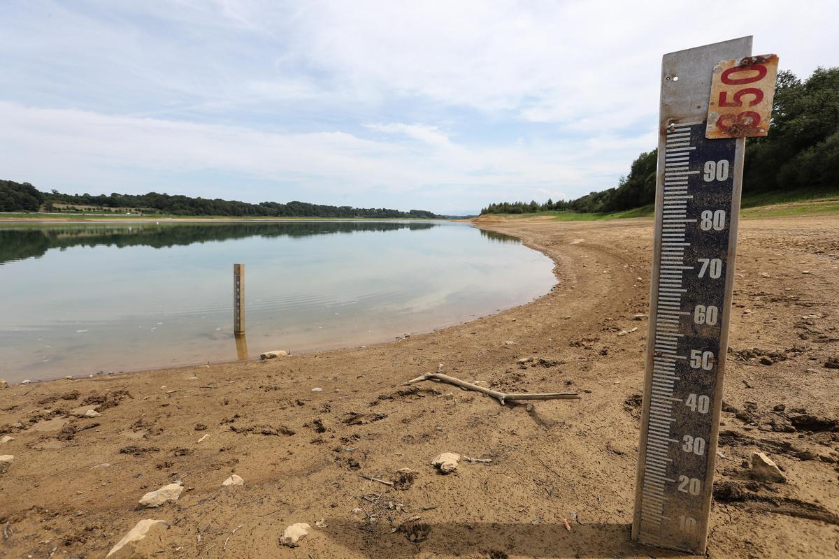 توسع الجفاف في أنحاء من أوروبا بسبب تعاقب موجات الحر الشديدة