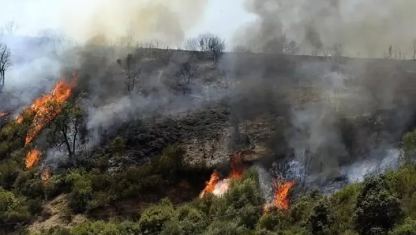 سوق أهراس: الحبس المؤقت لمشتبه فيه بإضرام النار “كان يحمل ثلاث ولاعات”