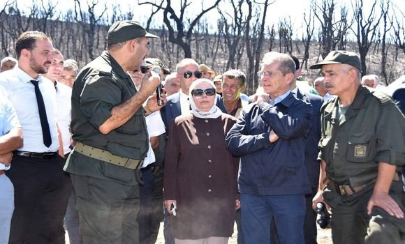 تنصيب اللجنة الوطنية لتعويض الفلاحين المتضررين من الحرائق