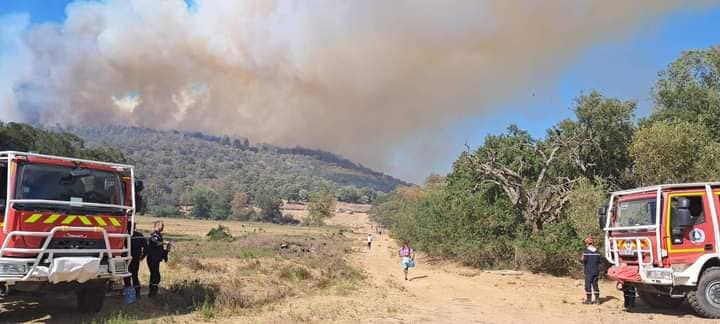 El Tarf : le nouvel incendie prend de l’ampleur