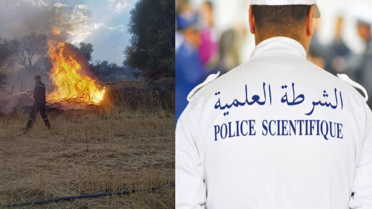 حرائق الطارف: التعرّف على هوية 18 جثةوتعذّر الكشف عن 15 أخرى