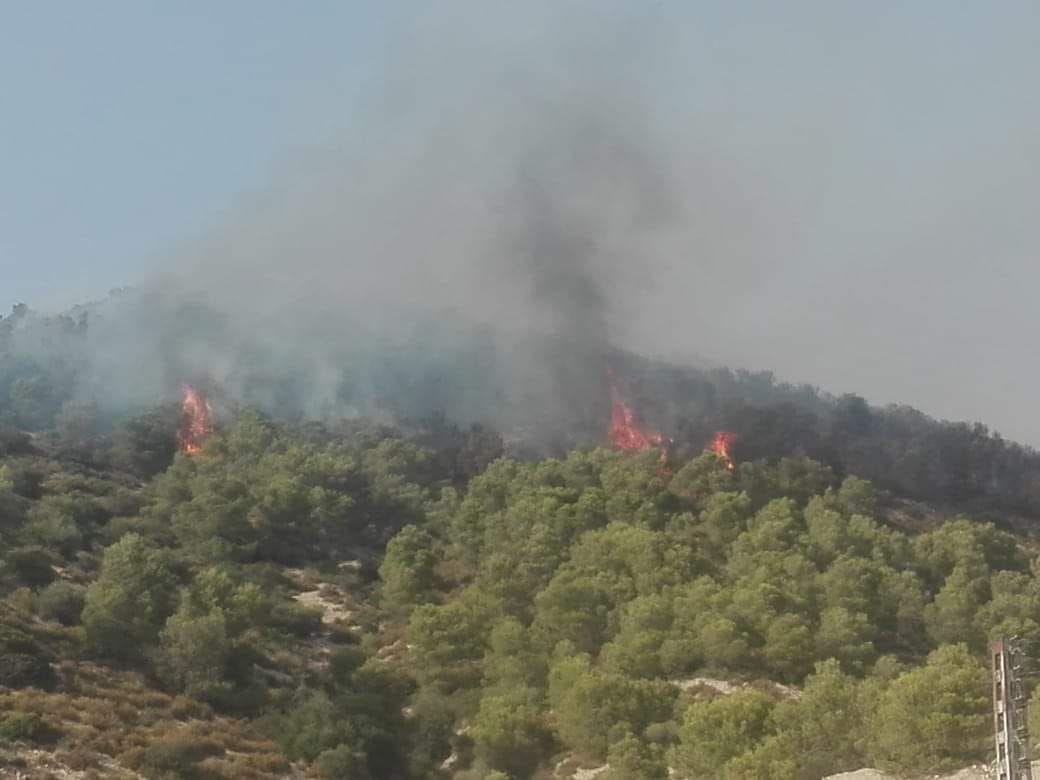 الحماية المدنية: عملية إخماد ثمانية حرائق عبر الوطن متواصلة