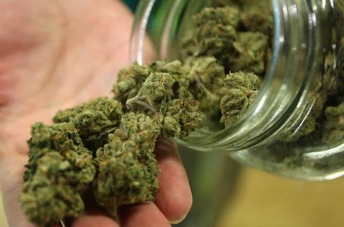 العاصمة: توقيف أجانب يشتبه في اتجارهم في مخدرات ماريخوانا