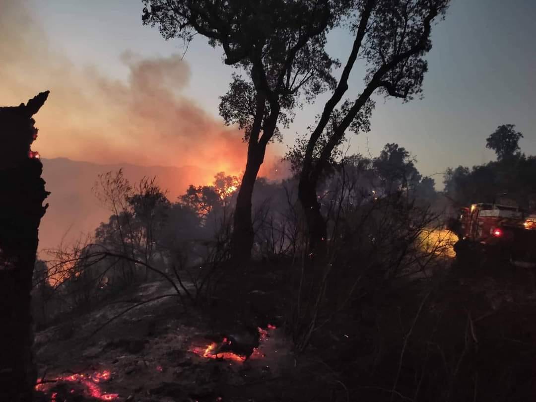 فاقت معدّلاتها الفصلية: موجة الحرّ متواصلة وتسجيل 24 حريق في مناطق مختلفة من الوطن