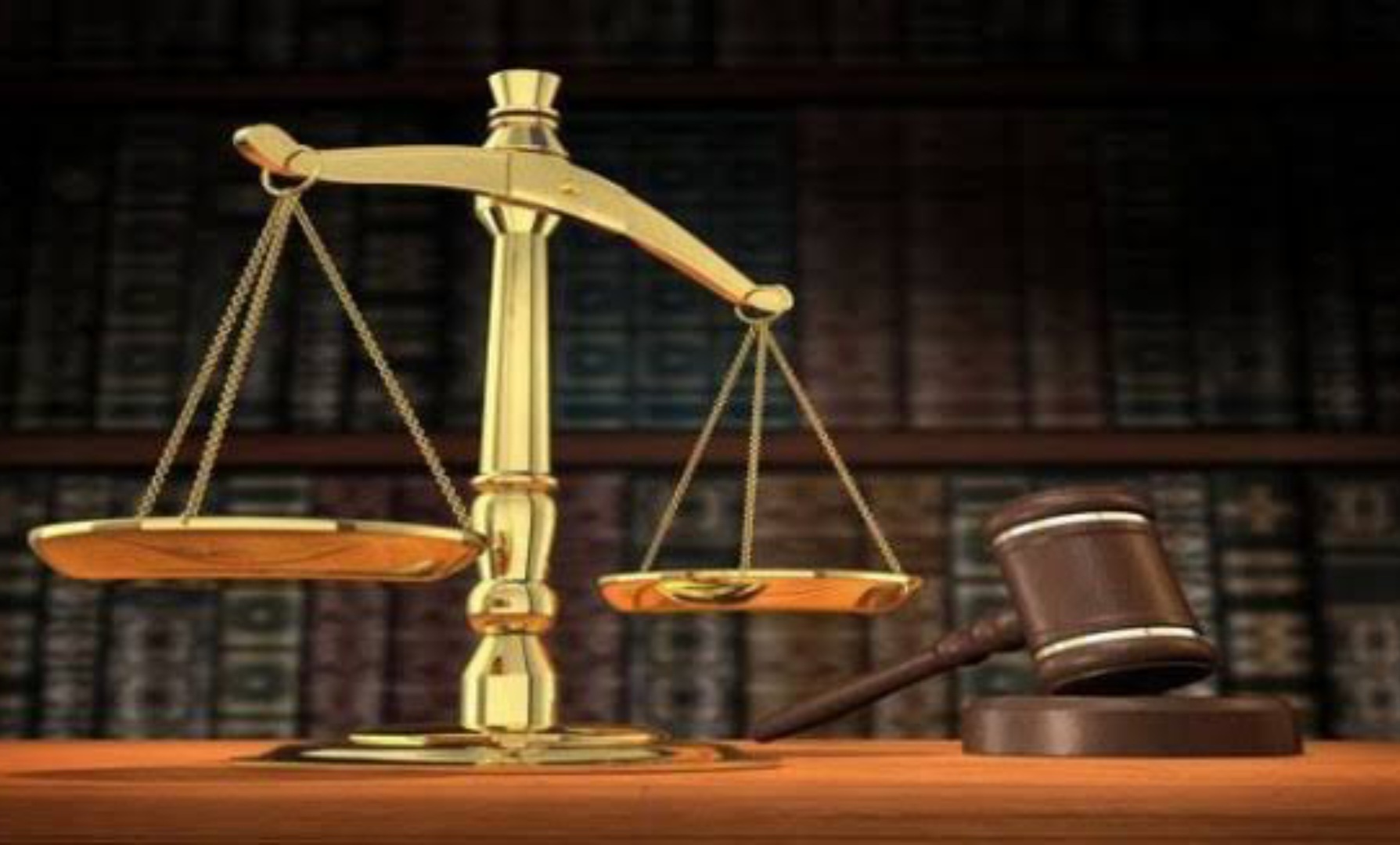 إدانة نجل عمار سعيداني بعام حبس نافذة في قضية فساد ميناء سكيكدة