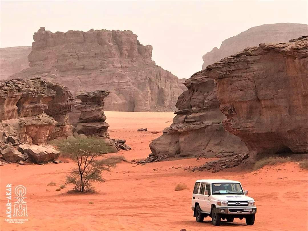 تسجيل 20 حالة إصابة بالملاريا خلال أسبوعين بتمنراست