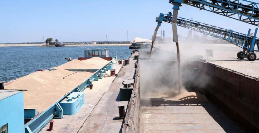 روسيا تعلن قدرتها على تغطية حاجيات الجزائر من القمح على حساب القمح الفرنسي