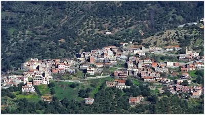 Tizi Ouzou : un homme arrêté pour avoir agressé un imam