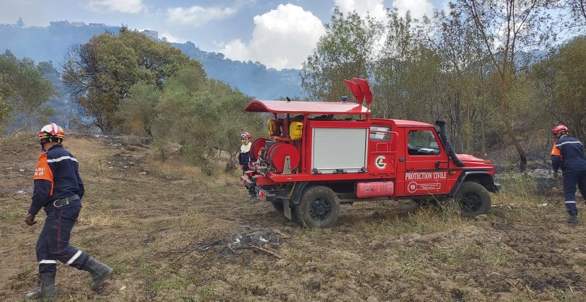 ارتفاع درجات الحرارة: إخماد عدة حرائق بستة ولايات والعملية متواصلة