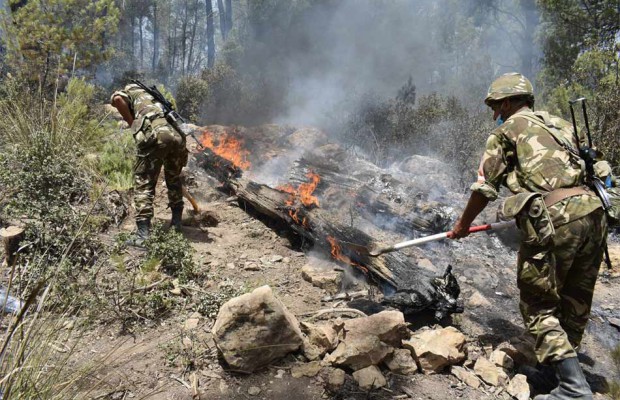 Le MDN annonce le décès de 10 militaires dans les incendies de Bejaïa