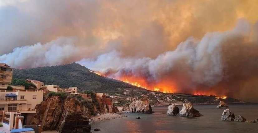 بجاية الأكثر تضرراً: النيران تأتي على حياة 15 شخصاً في ثلاثة ولايات