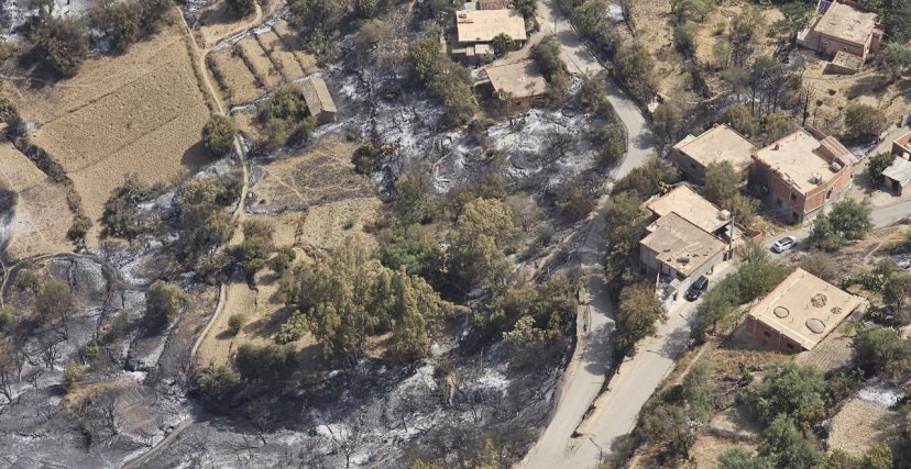 النائب العام لدى مجلس قضاء بجاية: “توقيف 14 شخصاً مشتبه فيهم بإضرام النيران”