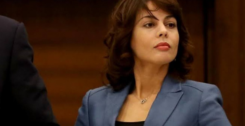 ملف تدفق الإنترنت: حكم نهائي بثلاث سنوات سجناً في حق هدى فرعون