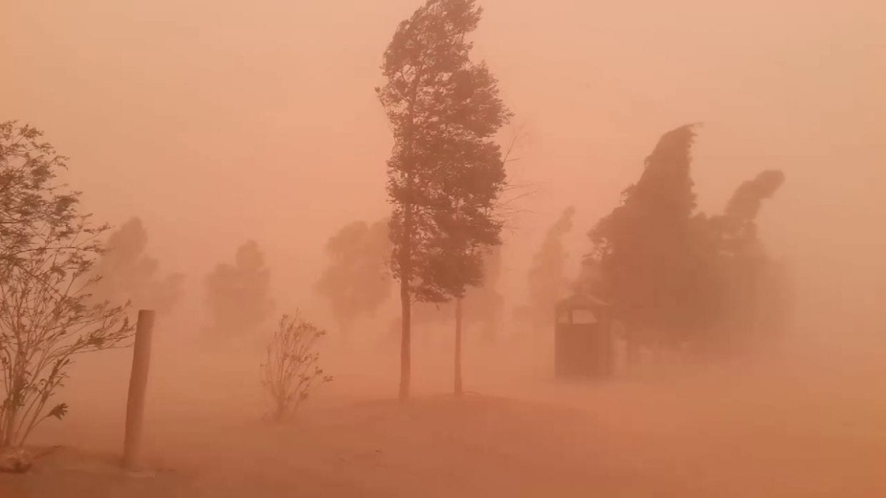 أحوال جوية: رياح قوية مرتقبة على عدة ولايات اليوم وغدا