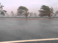 أحوال الطقس: رياح قوية بثلاث ولايات من الوطن