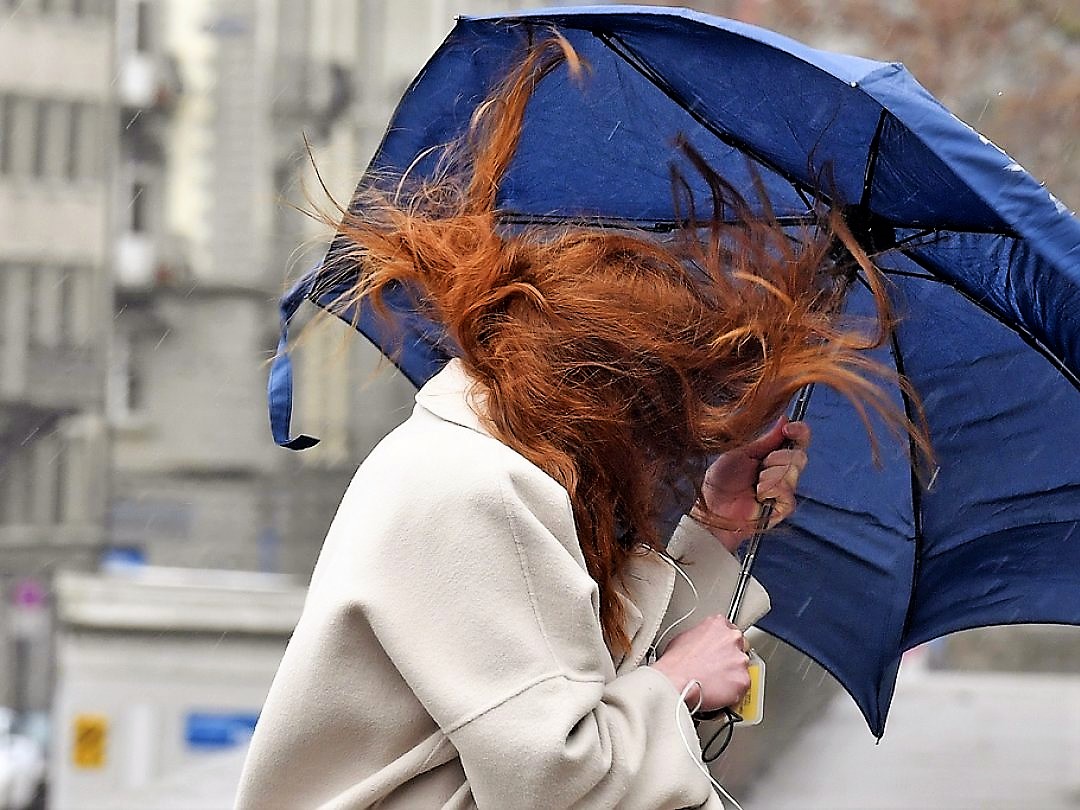Alerte météo : vents violents