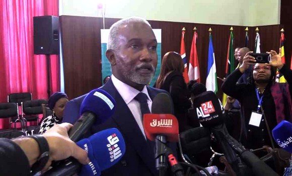 مشروع أنبوب الغاز العابر للصحراء : وزير خارجية نيجيريا يُطمئن