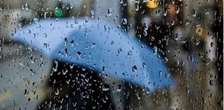 أمطار رعدية مرتقبة بهذه الولايات