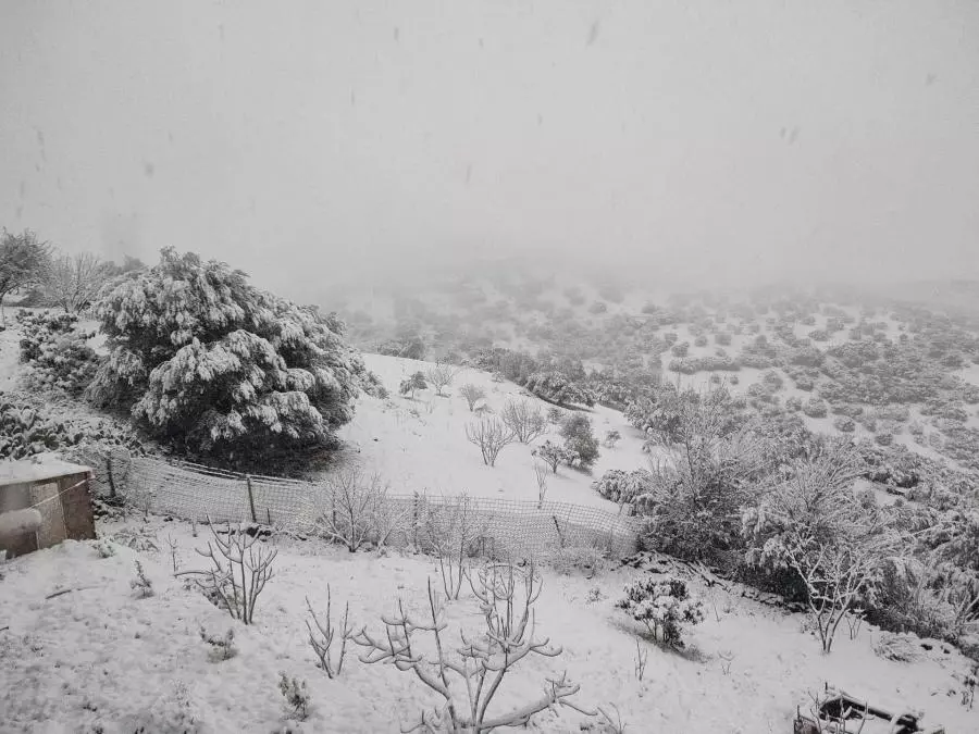 BMS : des chutes de neige sur les reliefs des Aurès à partir de ce dimanche