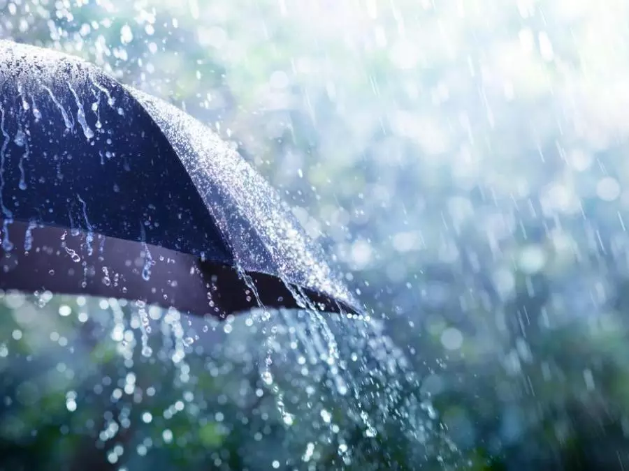 أمطار رعدية وشرائح ثلجية في 4 ولايات بداية من ليلة الثلاثاء