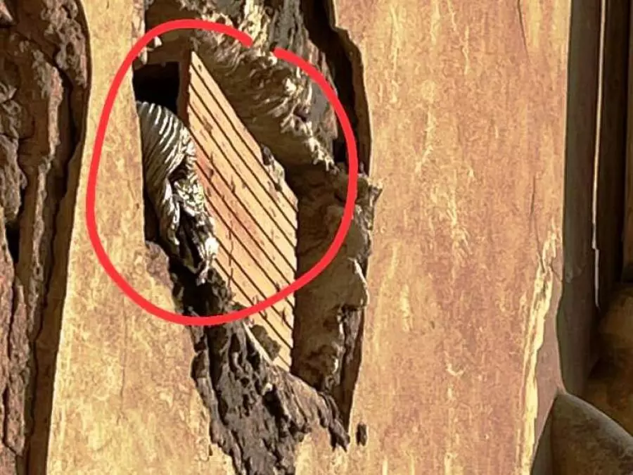 وهران: وفاة امرأتين اختناقا بغاز أحادي أكسيد الكربون