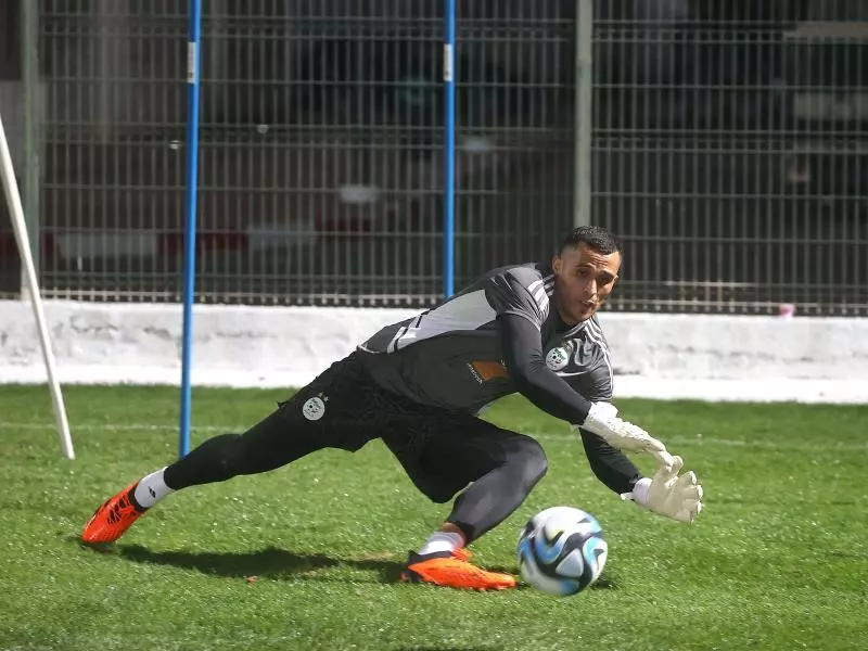 كأس افريقيا لأمم 2023: تسريح المهاجم غويري واستدعاء الحارس زغبة