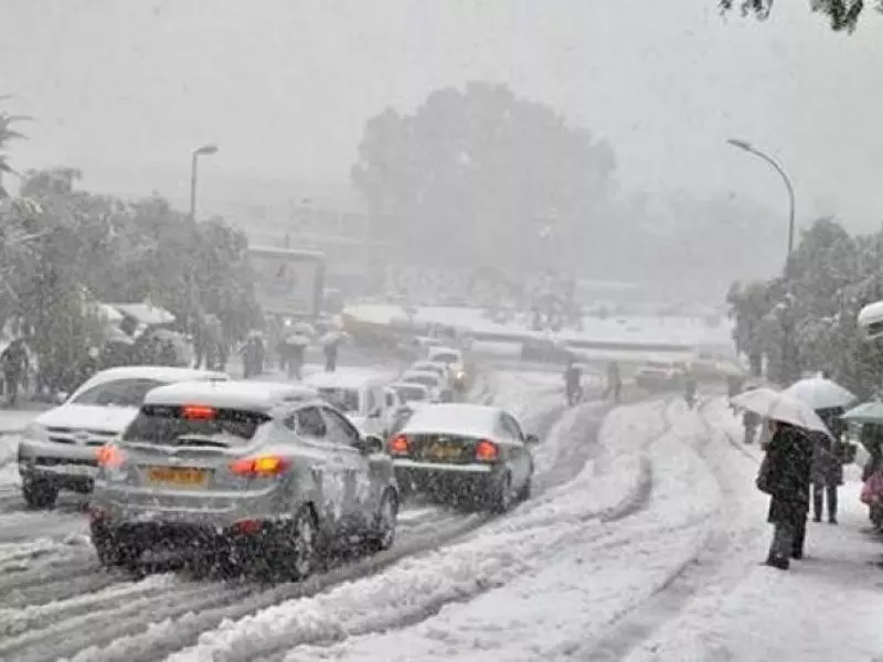 ثلوج وأمطار غزيرة على عديد ولايات الوطن