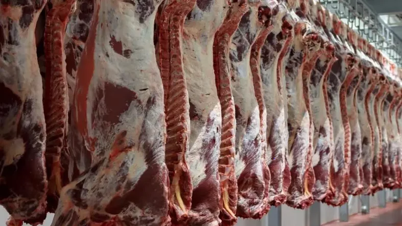 Importation de la viande : un autre recule de l’Etat sur les mesures de restriction