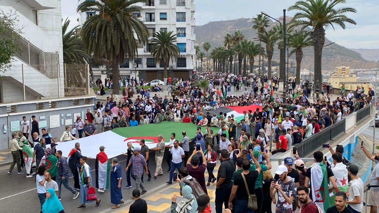 Les rapporteurs des Nations unies appellent tous les pays à autoriser les manifestations de soutien à Gaza