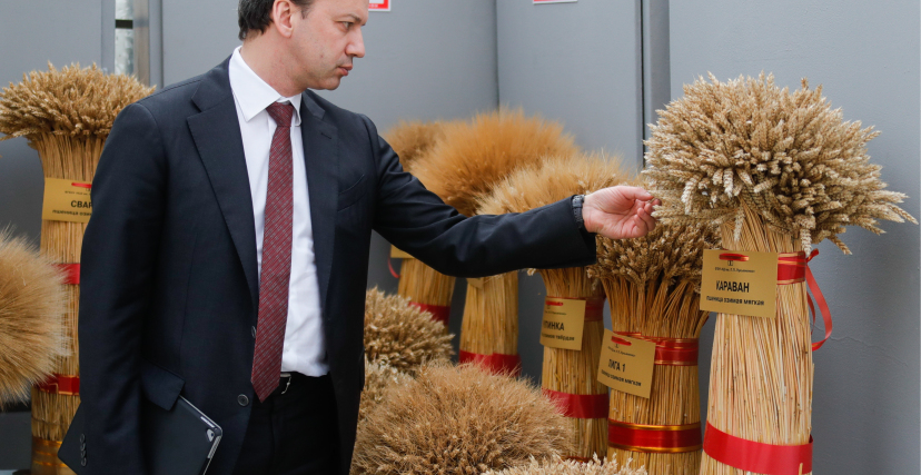 روسيا صدرت للجزائر 1.6 مليون طن من القمح في 6 أشهر