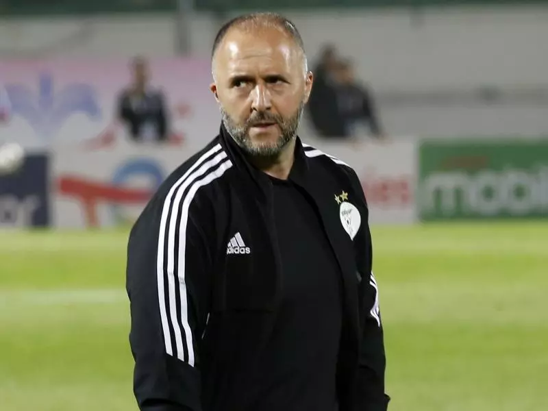 لجنة اختيار خليفة بلماضي : مهلة 10 أيام لإعلان المدرب الجديد للخضر