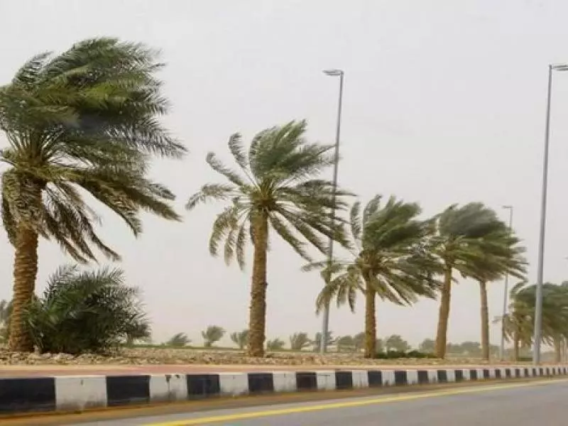 رياح قوية مرتقبة اليوم وغداً بعدة ولايات من الوطن
