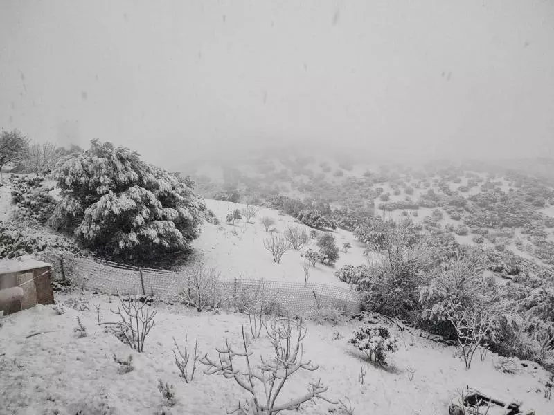 BMS : Chutes de neige sur les reliefs dépassant les 1100 mètres d’altitude