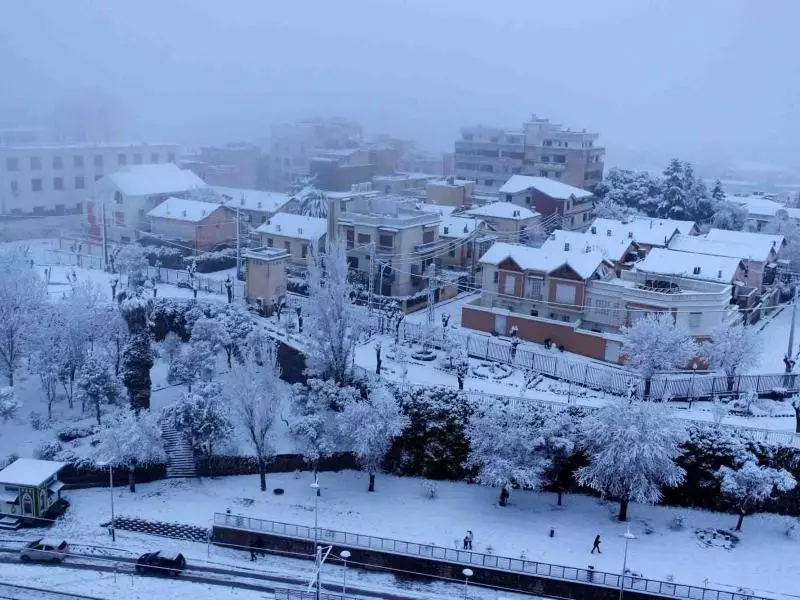 استمرار تساقط الثلوج على المرتفعات التي يفوق علوها 1000 متر بعدد من ولايات الوطن