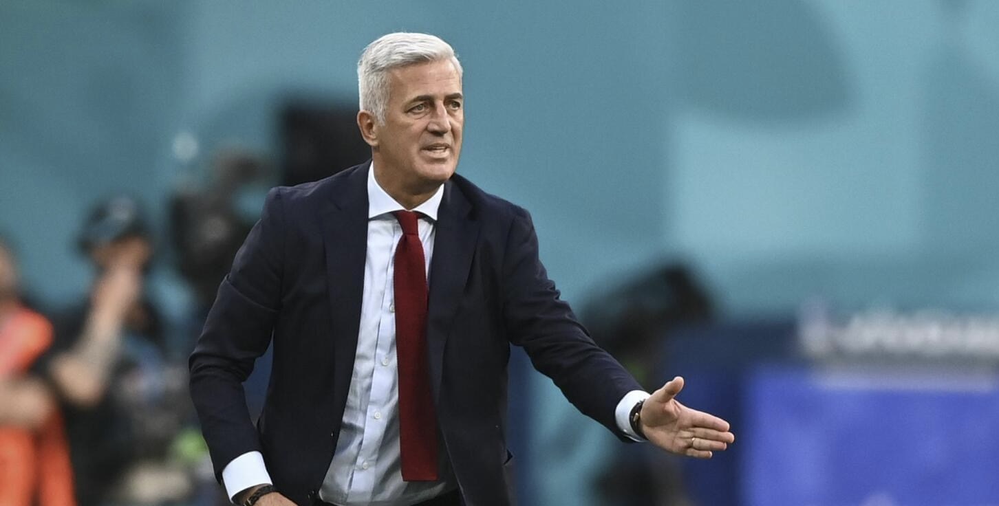 Le bosnien Vladimir Petkovic nouveau sélectionneur