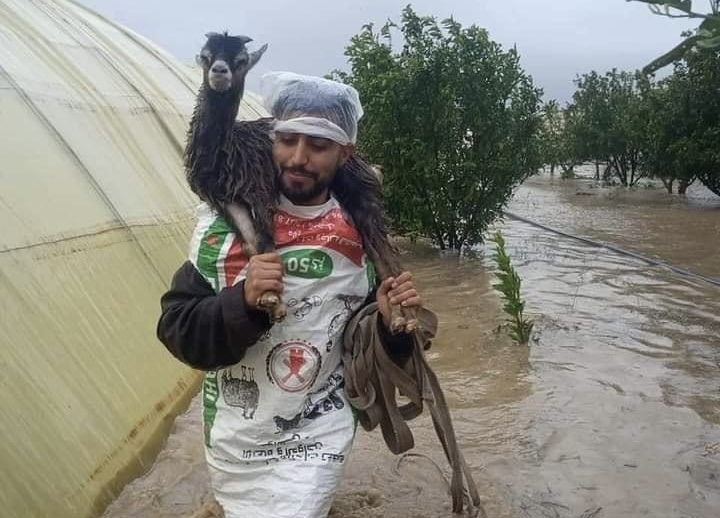 Inondations : octroi d’une indemnité au profit des agriculteurs touchés