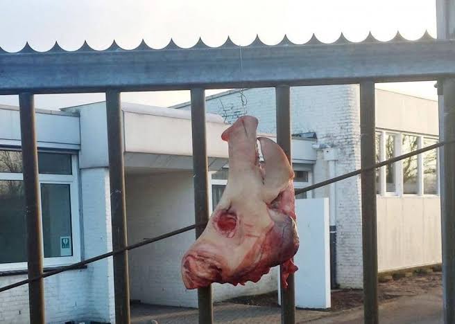 France : une tête de cochon accrochée devant une mosquée à la veille du ramadan