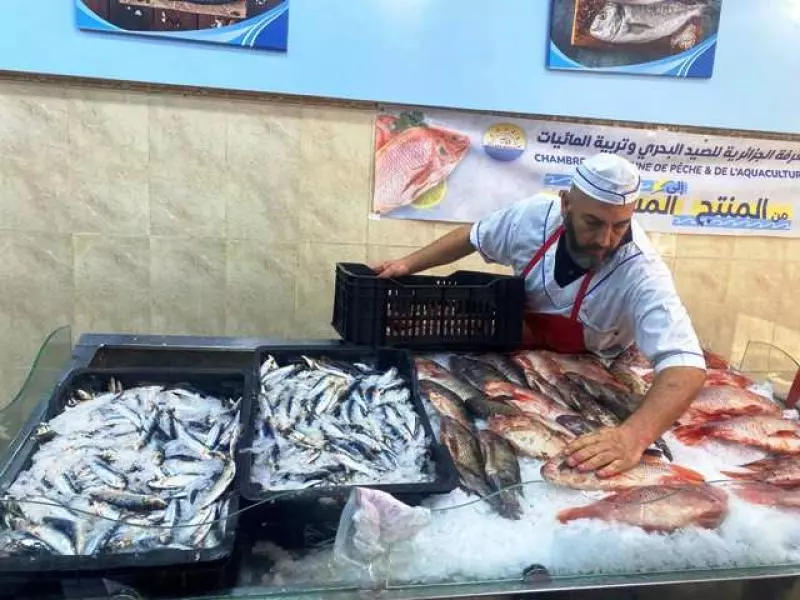 الشروع في تسويق السردين المستورد بسعر 500 دج