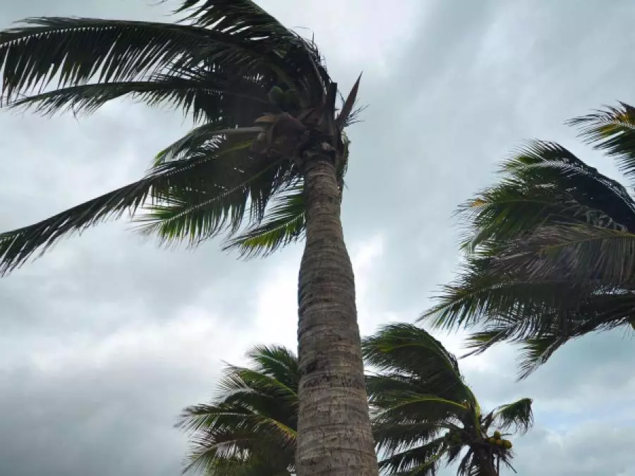Vents violents : un mort et des blessés à Biskra