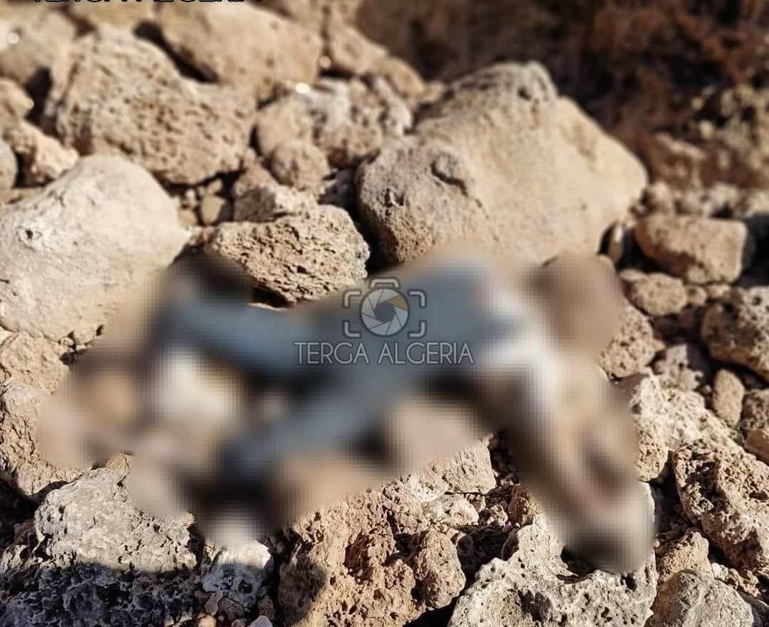 Trois corps rejetés par la mer à Aïn Témouchent