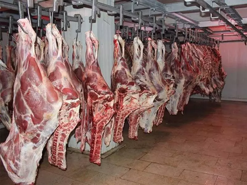 مرسوم تنفيذي : تسقيف هوامش الربح على لحوم الأغنام والأبقار المستوردة