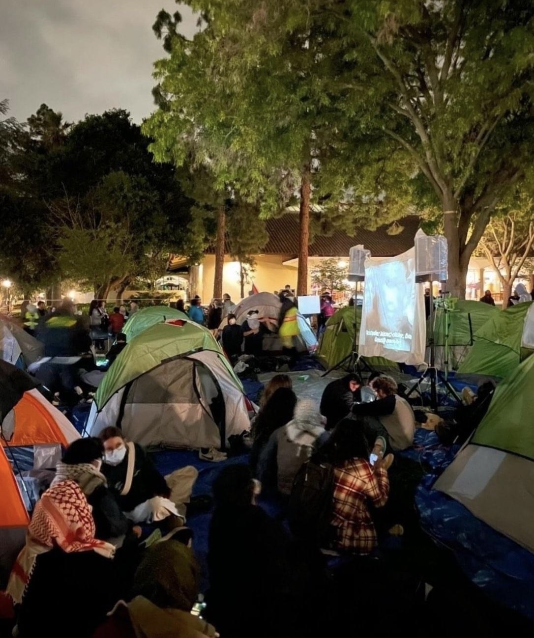 Projection choc à l’université de Stanford : quand “La Bataille d’Alger” rejoint Gaza