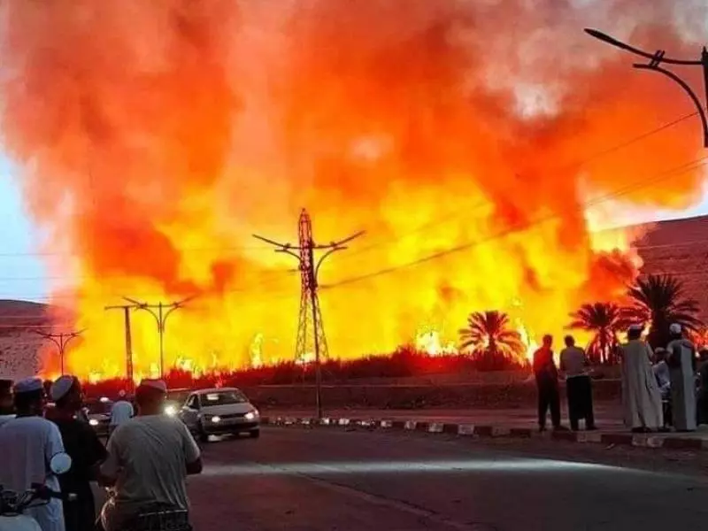 غرداية: حريق مهول يشب بمجرى وادي ميزاب