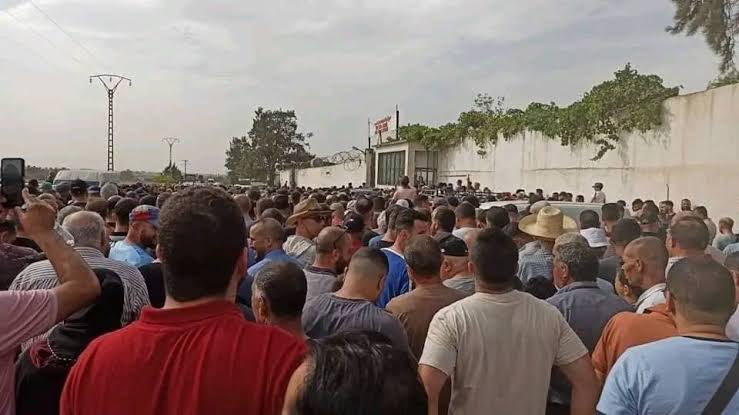 Après la foule de Birtouta, deux points supplémentaires de vente de bétail à Alger